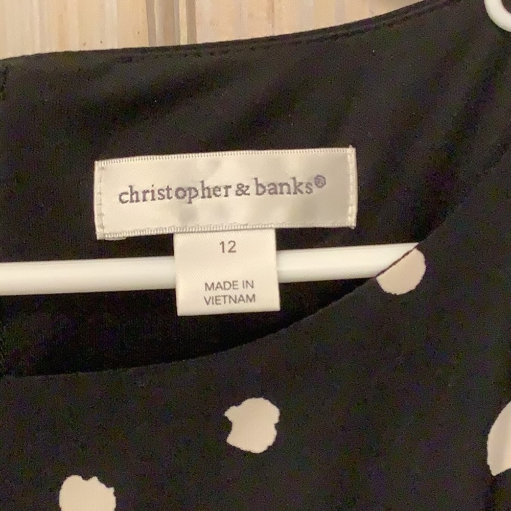 Christopher & banks Sleeveless Polka Dot Dress - Picture 2 of 8
